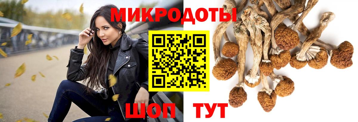 Лянтор  Галлюциногенные грибы Cubensis  Вход с VPN 